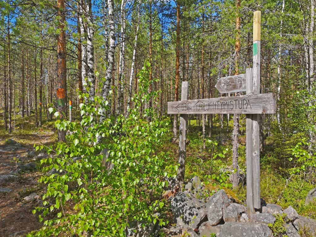 Kesäistä Suomen luontoa ja metsää, jossa vasemmalla polku, puussa oranssi pyöreä maalimerkki ja oikeassa reunassa puinen opastuskyltti, jossa lukee "Hiljentymistupa".