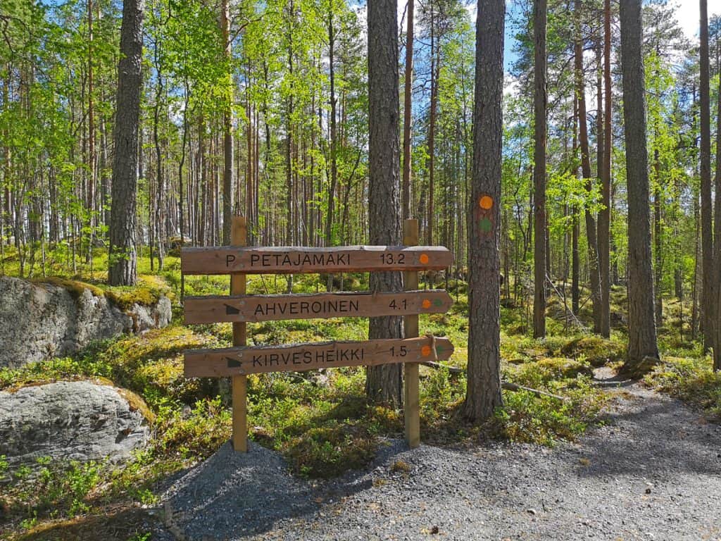 Kesäinen metsä, jossa polun varrella vaellusreitin opastuskyltti.