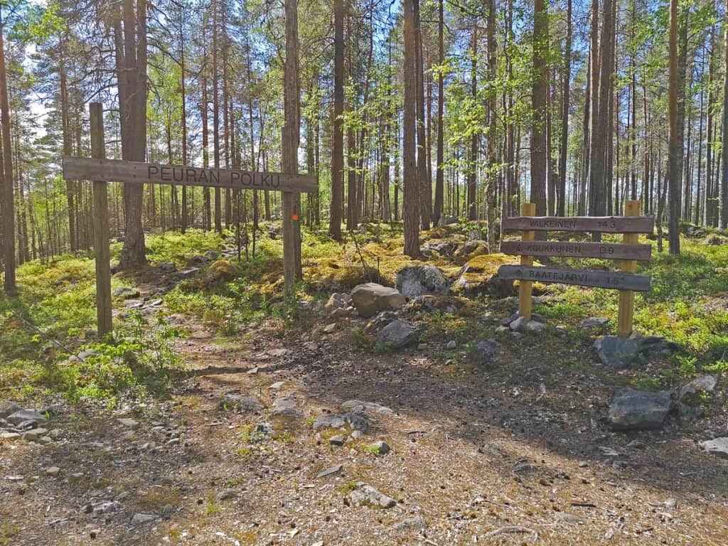 Kesäistä Suomen metsää, jossa puisia kylttejä. Kylteissä lukee "Peuran polku", "Valkeinen 14,3", "Koukkunen 0,9" ja "Raatejärvi 1,5"