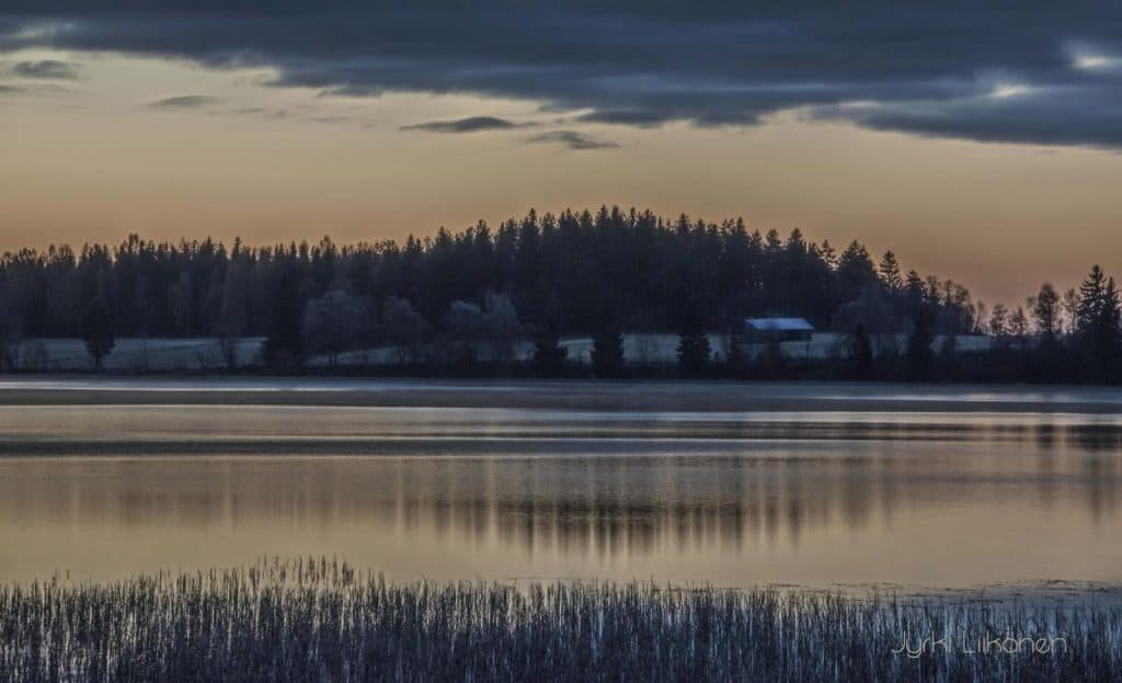 Aamunkoitto järvenrannassa. Taustalla metsää ja taloja. Etualalla kaislikkoa.