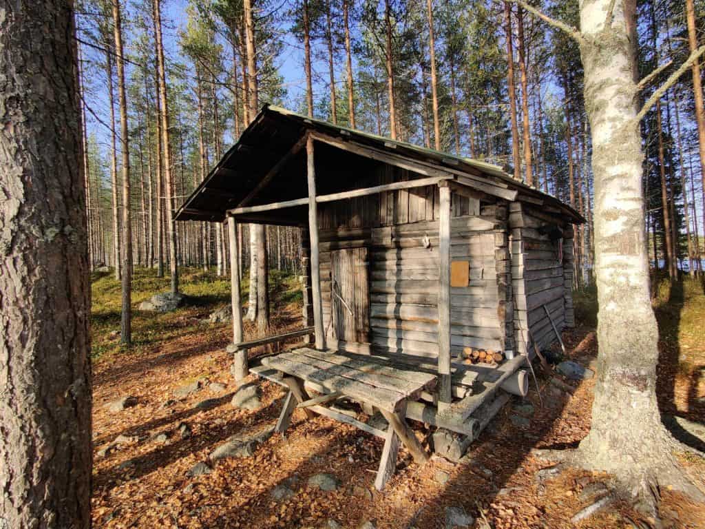 Vanha tukkikämppä kauniissa, aurinkoisessa ruskassa, Reisjärven metsässä. Maa täynnä pudonneita lehtiä ja ympärillä puita.